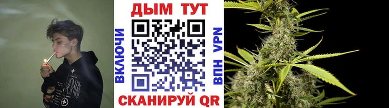 mega ссылки  Бологое  Марихуана семена 